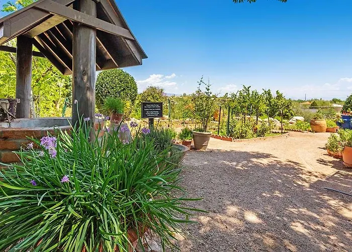 Resort Westward Look Wyndham Grand & Casas Adobes